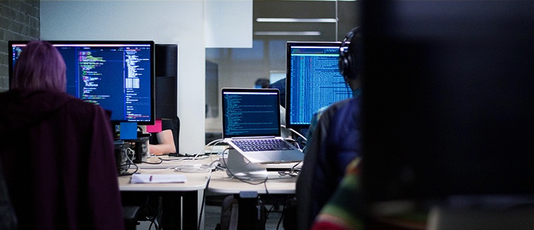 Bridge Software Engineer/Project Coordinator (JLPT N1)